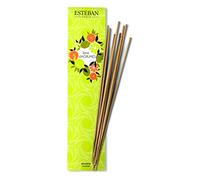 Esteban Paris - Encens indien terre d'agrumes 20 bâtonnets