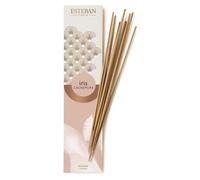 Esteban Paris Encens Pour Ambiance Iris Cachemire Parfum Maison