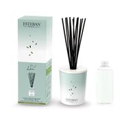 ESTEBAN PARIS PARFUMS-Bouquet parfumé déco et sa recharge Pur Lin - 100 ml Esteban - 100 ml