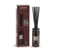 ESTEBAN PARIS PARFUMS-Bouquet parfumé initial + recharge senteur teck et tonka Esteban - 100 ml