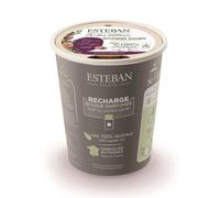 ESTEBAN PARIS-Recharge de bougie parfumée Esteban senteur Figuier garrigue - 180 g