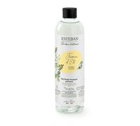 Esteban Paris Recharge Diffuseur A Bâtonnet 250 ML Jasmin D Ete Bâtons Maison Ar