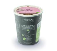 Esteban - Iris cachemire Diffuseurs et parfums d'intérieur 170 g unisex