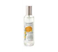 Esteban Paris Vaporisateur Spray Parfumé 100Ml Ambre Et Baumes