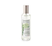 Esteban Paris Vaporisateur Spray Parfumé 100ML Thé En Fleur