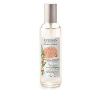 Esteban - Pêche de Vigne Diffuseurs et parfums d'intérieur 100 ml unisex