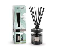 Esteban PU Lin Lin Pur Bouquet Parfumé Ellipse avec Baguettes et Recharge 100 ML