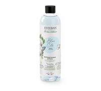 Esteban - Orange and Green Tea Blanc Coton Diffuseurs et parfums d'intérieur 250 ml unisex