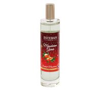 Esteban - Vaporisateur Mandarine Givrée 100 ml