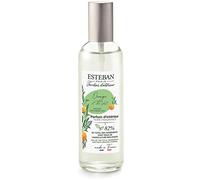 ESTEBAN Vaporizzatore 100ml - Orange et Thé vert