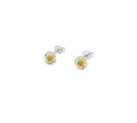 Estella Bartlett Boucles d'oreilles mini fleurs sauvages - Plaqué argent
