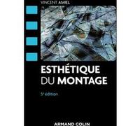 Esthétique du montage Vincent Amiel (Auteur)
