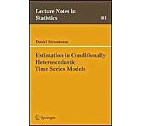 Estimation In Conditionally Heteroscedastic Time Series Models