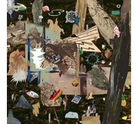 Estoile Naiant [帯解説・ボーナストラック1曲収録 / 国内盤] (BRC410)