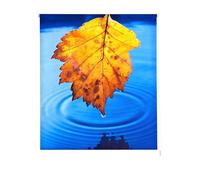 Estoralis | Zen | Store Enrouleur Moderne | Tissu translucide imprimé | Z-4506 Multicolore | 150 x 180 cm. (Largeur/Hauteur) Taille du Tissu 147 x 175 cm. | Stores pour fenêtres et Portes