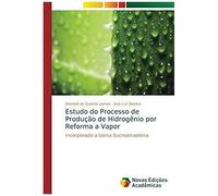 Estudo Do Processo De Produção De Hidrogênio Por Reforma A Vapor