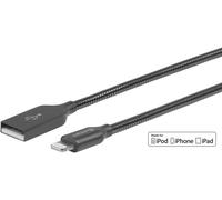 eSTUFF ES601065 câble Lightning 0,5 m Gris