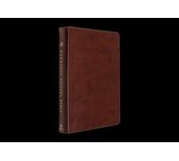 Esv Everyday Gospel Bible