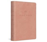 ESV Large Print Compact Bible (de piel falsa)