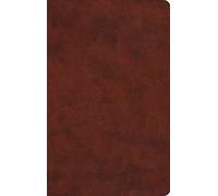 ESV Large Print Value Thinline Bible