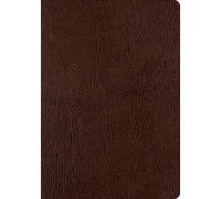 Esv Single Column Journaling Bible, Large Print