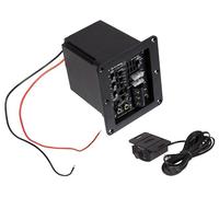 ESX POWER2 Mono Amplification rAktiv Module 4/2 Ohm pour Subwoofer Boîtier...