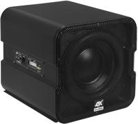 ESX VISION Caisson De Basses Actif V-1600A Caisson De Basses 20 Cm