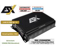 ESX VX5000PRO Amplificateur De Basse Mono 1 Canal