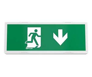 ESYLUX EN10077036 Eclairage LED dissue de secours