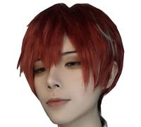 ET cosplay Perruque for Hypnosis Mic Division Rap Battl Kannonzaka Doppo
