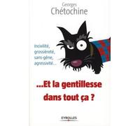 Et la gentillesse dans tout ça ? Incivilité, grossièreté, sans-gêne, agressivité - Georges Chetochine - Eyrolles - broché - Essai