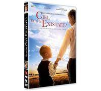 Et si le ciel existait ?