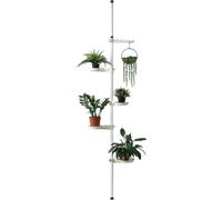 Étagère à fleurs télescopique 110 - 305 cm jusqu'à 8kg