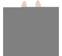 Étagère à foin - Couvercle amovible, construction en bois stable, section de grande capacité, cadre résistant aux morsures | pour clapier intérieur pour cochon d'Inde, zone d'alimentation pour