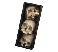 Étagère de bureau tête de mort | Pièce d'exposition verticale gothique pour des espaces compacts, cadre noir imprimé 3D avec un accent spectaculaire