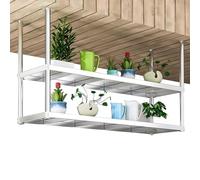 Étagère flottante en acier inoxydable à 2 niveaux pour vin et plantes, support mural pour cuisine et bar, présentoir élégant pour balcon et décoration d'intérieur