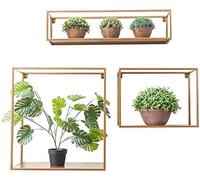 Étagère flottante moderne pour pot de fleurs - Support mural pour pot de fleurs - Support de rangement pour salon, balcon - Étagère pour livres - Cadre d'intérieur