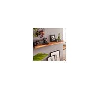 WOHNLING étagère murale arbre bord bois d'acacia design WOHNLING étagère 80 cm étagère solide