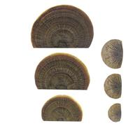 Étagère murale en forme de champignon - Présentoir flottant pour décoration d'intérieur | Motif champignons sculptés en résine avec système de support caché, organiseur mural inspiré de la nature