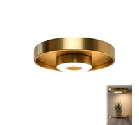 Étagère Murale Flottante avec Lumière Ambiante LED Intégrée (1pcs) | Étagère Murale Transparente PET Gain De Place, Déco Pour Salon, Salle De Bain Et Bureau