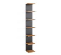 Étagère murale Paolo, 30x190cm, Anthracite, Vicco 52082