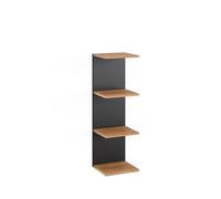 Vicco Étagère Murale Paolo, Anthracite, 30x95cm, pouvant être monté pour Le Rangement de Livres et d’Objets de décoration
