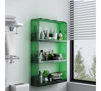 Étagère murale transparente pour salle de bain, sans perçage, étagère de rangement pour cuisine, camping-car, cosmétiques - Vert