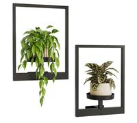 Étagères à Plantes Murales-Lot de 2-Métal Noir-40x30x11 cm-Étagère Décorative Moderne -Adapté à Pots 7.6-14 cm, Charge Max 9 kg