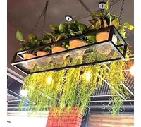 Étagères de plafond en métal - Présentoir flottant pour plantes et décoration, solution de décoration d'intérieur peu encombrante