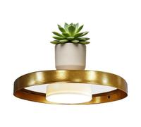 Étagères flottantes avec lumière LED, support d'affichage pour jardinière p