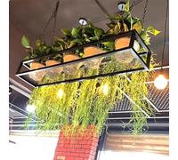 Étagères flottantes de plafond polyvalentes pour plantes et porte-bouteilles pour intérieur jardin, bar, balcon, supports de fleurs muraux et au plafond (taille : 1)