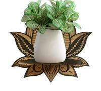 Étagères flottantes en | Étagère Murale Flottante - Décorative, Rustique, esthétique pour décoration de Chambre à Coucher, Petites Vertes, Pierres précieuses, Roche