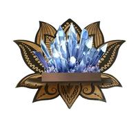Étagères flottantes, étagère de présentation, élégant support flottant avec motif floral pour pierre | Décoratif, étagère de pièces pour objets de collection, pierres précieuses, petites plantes