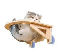 Étagères Murales Pour Chats Caverne de Fenêtre à Ventouse avec Bulle | Perchoir Pour Fenêtre Destiné à l'Intérieur, Appartement, Coin, Lieu de Travail, Cuisine,